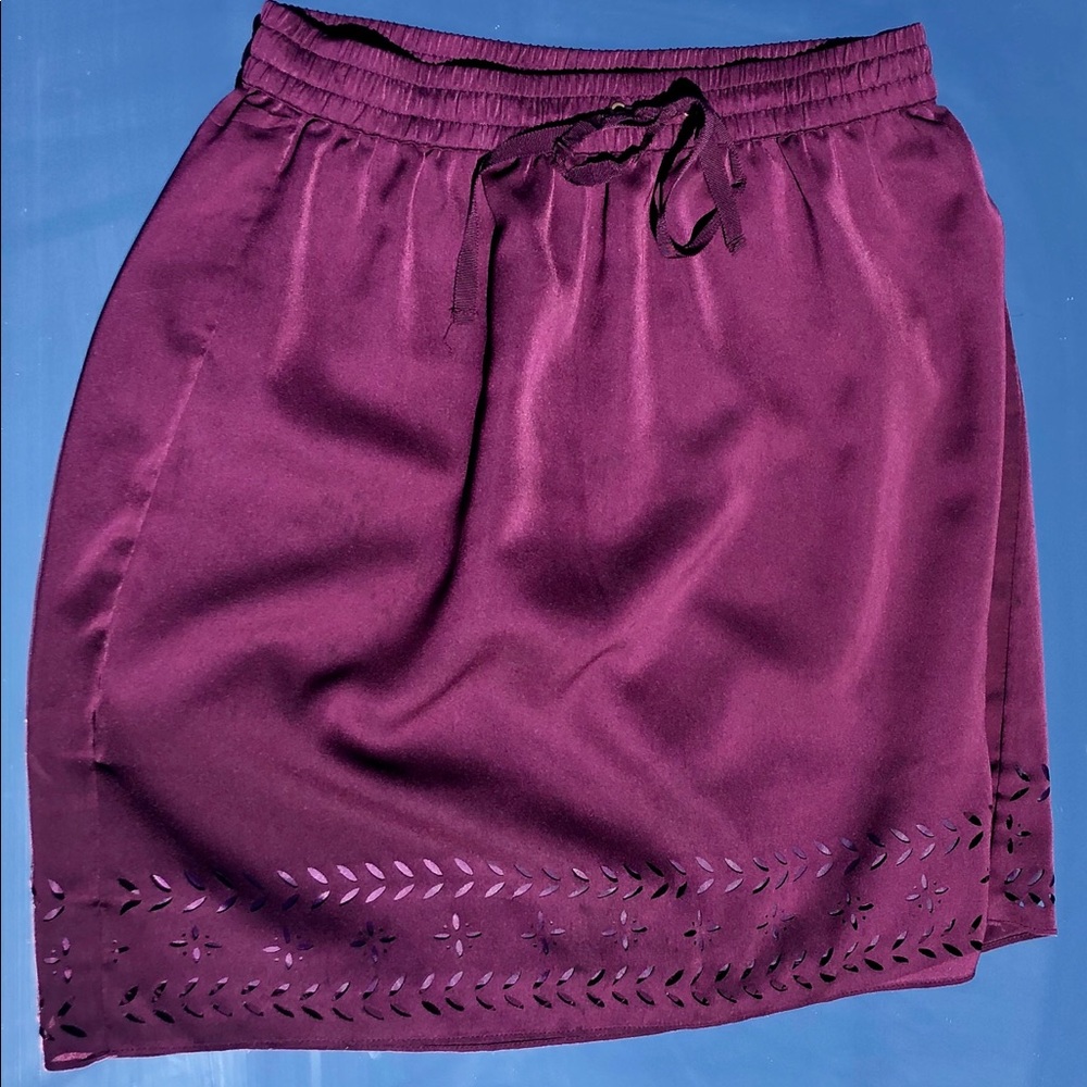 J Crew A-Line Laser Cut-Out Skirt